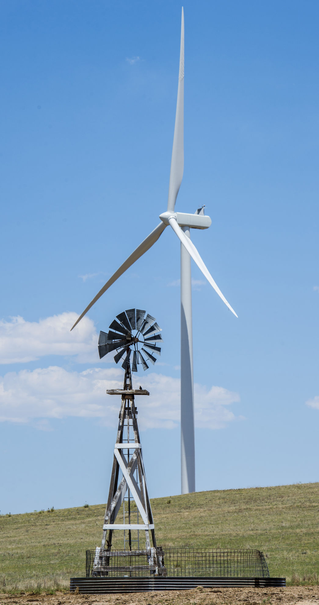 wind farm